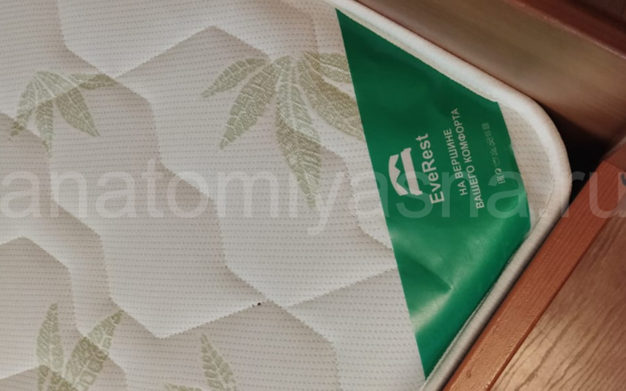 отзыв о Матрас Everest Хард Кокос 10 S1000 фото 2